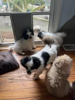 processed/5a945c90-5a84-489f-b85a-f62f782790fd/facility/3b5c76a9-0a03-4544-8cf6-1e1e36a52ac0