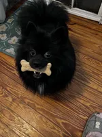 processed/5a945c90-5a84-489f-b85a-f62f782790fd/facility/43b96968-e75b-4182-89ba-b1549171f458