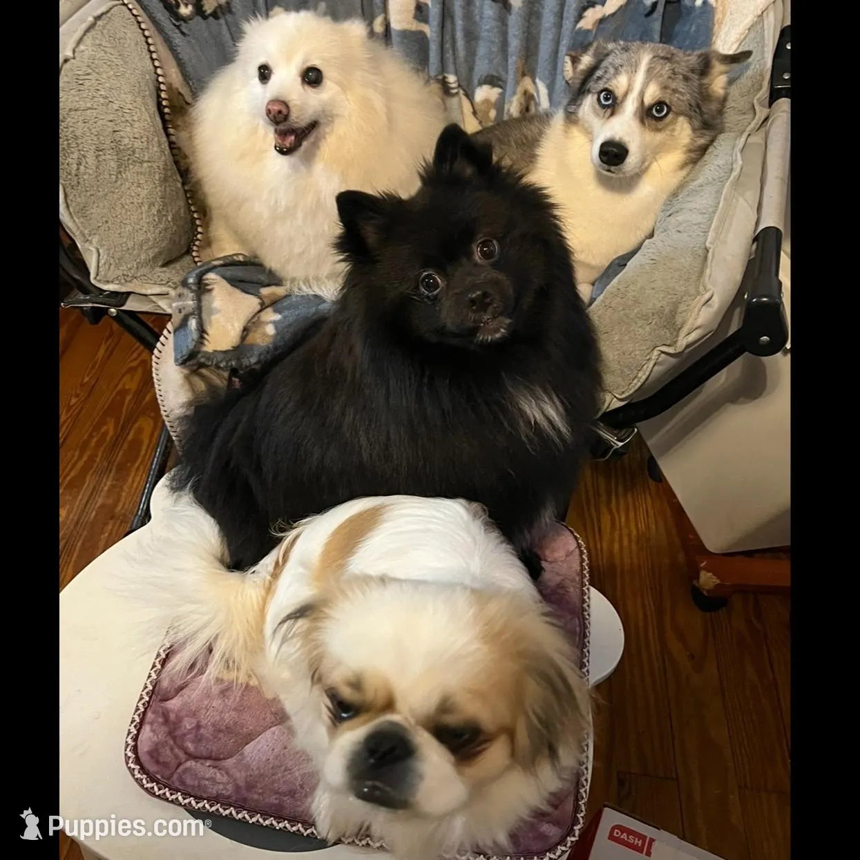 processed/5a945c90-5a84-489f-b85a-f62f782790fd/facility/5886e2e2-f5b5-4f6f-bb83-ed0b27155523