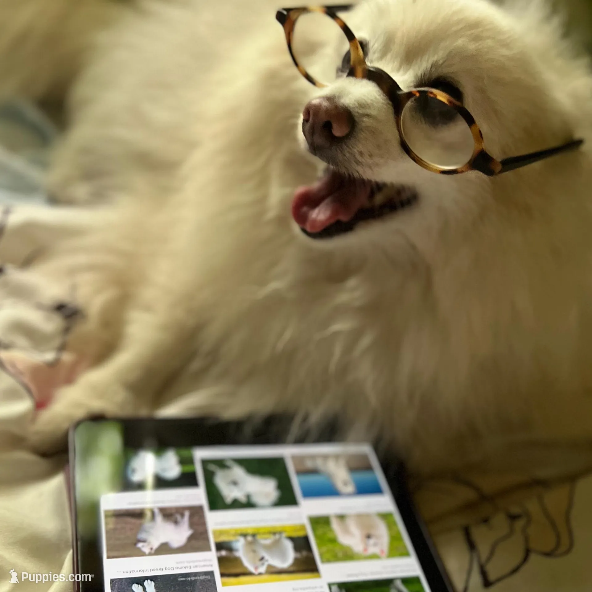 processed/5a945c90-5a84-489f-b85a-f62f782790fd/facility/8fb696b5-b0a9-4c8c-a2df-07f4a6b1d931