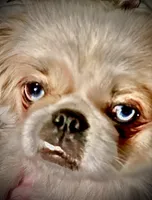 processed/5a945c90-5a84-489f-b85a-f62f782790fd/facility/a1e17427-2cdb-42f9-aee3-59bfff33230a