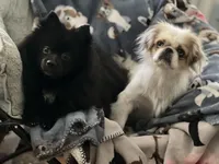 processed/5a945c90-5a84-489f-b85a-f62f782790fd/facility/b47a1f5a-4d07-407f-8dd9-898fe9c1905e