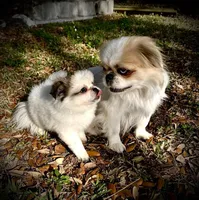 processed/5a945c90-5a84-489f-b85a-f62f782790fd/facility/b8ef61e2-7778-40e6-805d-3ac3bd5431e6