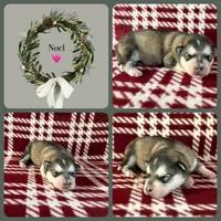 processed/5a9599b1-cc2a-45e0-96e4-3c991a52484b/listing/3f437ec3-444c-44c1-a786-ae35b1153162/1e88adbb-4afb-4c3f-a0ee-d1d7335d1819