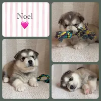 processed/5a9599b1-cc2a-45e0-96e4-3c991a52484b/listing/3f437ec3-444c-44c1-a786-ae35b1153162/3ba95207-05ae-4149-b325-e27e1bfcfdf3