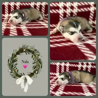 processed/5a9599b1-cc2a-45e0-96e4-3c991a52484b/listing/6856ce96-2044-42a6-beac-1555ec0289c5/58446323-2cd7-4b2d-937f-52675150ccfb