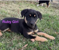 processed/5aa6cf70-4c3d-418f-bd3c-e2868201ec37/listing/57d73775-9b62-4501-a812-7edc9d9c851b/a957936b-38a2-46e1-9ff8-782e2f150bc5