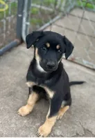 processed/5aa6cf70-4c3d-418f-bd3c-e2868201ec37/listing/57d73775-9b62-4501-a812-7edc9d9c851b/ca94e3a8-5a10-4732-9e88-523eb8ceb286