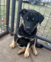 processed/5aa6cf70-4c3d-418f-bd3c-e2868201ec37/listing/80c72af7-22cc-4885-bf6b-2b6a825a45b4/09658808-7264-447a-9399-dbabc2cfb33a