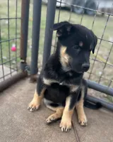 processed/5aa6cf70-4c3d-418f-bd3c-e2868201ec37/listing/80c72af7-22cc-4885-bf6b-2b6a825a45b4/a1ed64aa-fd16-4a67-9b1f-80851f4a7404