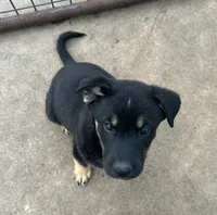 processed/5aa6cf70-4c3d-418f-bd3c-e2868201ec37/listing/80c72af7-22cc-4885-bf6b-2b6a825a45b4/c0edcd86-7eec-4e82-a2da-e9646cc04d02