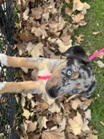 processed/5aa6cf70-4c3d-418f-bd3c-e2868201ec37/listing/99d87a31-f62a-4920-a011-abb74313bdbf/c1933e03-50e2-4df7-b7c2-299824a6880b