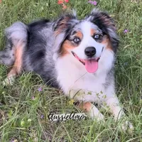 processed/5aa91e66-e60c-4362-b813-53e5bace7d45/facility/0e9448d2-93db-4845-bf7e-eaa973016cbc