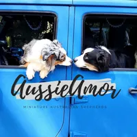 processed/5aa91e66-e60c-4362-b813-53e5bace7d45/facility/2369f082-b5e4-4aef-9cf2-82b07dcea9de