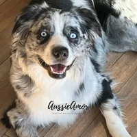 processed/5aa91e66-e60c-4362-b813-53e5bace7d45/facility/53a80b3e-5dfe-40c5-9729-66cf5a31a6ee