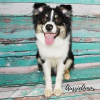 processed/5aa91e66-e60c-4362-b813-53e5bace7d45/facility/85966b52-7555-4a07-89f4-22ffd765aba7