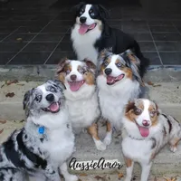 processed/5aa91e66-e60c-4362-b813-53e5bace7d45/facility/d5411cdf-64e1-4866-a241-5581934524b3