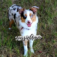 processed/5aa91e66-e60c-4362-b813-53e5bace7d45/facility/e0fee39e-6714-4167-94d4-ae7d6be62c05