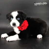 processed/5aa91e66-e60c-4362-b813-53e5bace7d45/listing/23fe8910-5294-4305-9e3b-73316003c8e2/158a7c39-9c8a-4d7e-aa95-f0b9d9911a2f