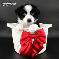 processed/5aa91e66-e60c-4362-b813-53e5bace7d45/listing/23fe8910-5294-4305-9e3b-73316003c8e2/24ec5619-da52-4368-bc83-3a20ed4bf8c4