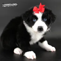 processed/5aa91e66-e60c-4362-b813-53e5bace7d45/listing/23fe8910-5294-4305-9e3b-73316003c8e2/41bdf36f-49ce-4b80-9455-55a1cc44bd94