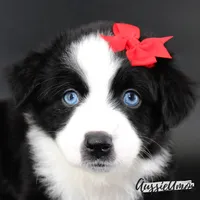 processed/5aa91e66-e60c-4362-b813-53e5bace7d45/listing/23fe8910-5294-4305-9e3b-73316003c8e2/580607a7-ef0e-4a71-8a51-51b03e40de02