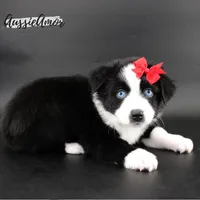 processed/5aa91e66-e60c-4362-b813-53e5bace7d45/listing/23fe8910-5294-4305-9e3b-73316003c8e2/5f42f391-25d8-403e-8777-dd5abf0bf641