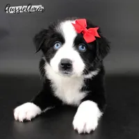 processed/5aa91e66-e60c-4362-b813-53e5bace7d45/listing/23fe8910-5294-4305-9e3b-73316003c8e2/7ec05669-1520-4cca-a54d-a3cb24b9c7c5