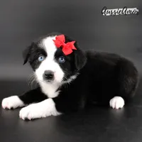 processed/5aa91e66-e60c-4362-b813-53e5bace7d45/listing/23fe8910-5294-4305-9e3b-73316003c8e2/956f0850-5772-441a-8d4b-e4b300ecad44