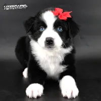 processed/5aa91e66-e60c-4362-b813-53e5bace7d45/listing/23fe8910-5294-4305-9e3b-73316003c8e2/976c6b7f-3b02-46f9-9a6f-c48c279de78a