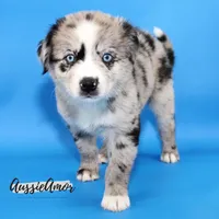 processed/5aa91e66-e60c-4362-b813-53e5bace7d45/listing/9d4ab516-3cb7-4bb2-880b-b98286ee1705/0e100835-7594-4cff-b4a5-85f650104656