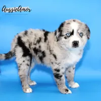 processed/5aa91e66-e60c-4362-b813-53e5bace7d45/listing/9d4ab516-3cb7-4bb2-880b-b98286ee1705/183dc02d-8a22-46f1-867f-76e4426b676c