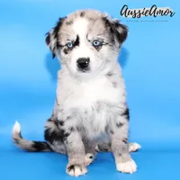 processed/5aa91e66-e60c-4362-b813-53e5bace7d45/listing/9d4ab516-3cb7-4bb2-880b-b98286ee1705/2ac65f5b-8467-4990-a11d-47976cb9c8d4