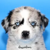 processed/5aa91e66-e60c-4362-b813-53e5bace7d45/listing/9d4ab516-3cb7-4bb2-880b-b98286ee1705/2deebc54-79c9-4352-87d1-9f1cbee3599c