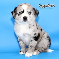 processed/5aa91e66-e60c-4362-b813-53e5bace7d45/listing/9d4ab516-3cb7-4bb2-880b-b98286ee1705/740d781e-001d-4693-9fe6-9bedaecf01cb