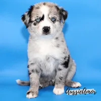 processed/5aa91e66-e60c-4362-b813-53e5bace7d45/listing/9d4ab516-3cb7-4bb2-880b-b98286ee1705/bb1b5c69-88c1-42e5-a957-96d8d1a6d64f