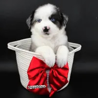 processed/5aa91e66-e60c-4362-b813-53e5bace7d45/listing/d787d254-e1f6-4b2d-bd5c-35923ba1f2f5/0fb488bd-a446-414d-8e89-b21ca0a63d71