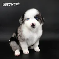 processed/5aa91e66-e60c-4362-b813-53e5bace7d45/listing/d787d254-e1f6-4b2d-bd5c-35923ba1f2f5/3bc6959e-c836-4f08-8a4f-bff6e7b6705e