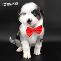 processed/5aa91e66-e60c-4362-b813-53e5bace7d45/listing/d787d254-e1f6-4b2d-bd5c-35923ba1f2f5/3c1c3924-609d-4383-af52-1099839f6f41