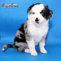 processed/5aa91e66-e60c-4362-b813-53e5bace7d45/listing/e06e905d-b5e9-4c38-971a-b27b99716649/06b20e22-8476-4d0e-8122-79181cbbe8a3