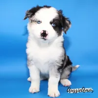 processed/5aa91e66-e60c-4362-b813-53e5bace7d45/listing/e06e905d-b5e9-4c38-971a-b27b99716649/4c45f0ed-2af0-4918-9cf8-16ac637621f6