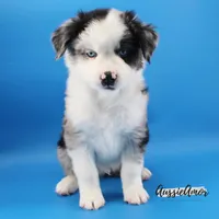 processed/5aa91e66-e60c-4362-b813-53e5bace7d45/listing/e06e905d-b5e9-4c38-971a-b27b99716649/6fdc5204-b6d6-4405-88f7-b6f41f27a810