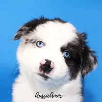 processed/5aa91e66-e60c-4362-b813-53e5bace7d45/listing/e06e905d-b5e9-4c38-971a-b27b99716649/897c361d-d104-49b1-9fe1-ffc7823fcb02