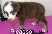 processed/5aa9dd28-0cae-4d28-91db-a923cf36de87/listing/8ab15d0e-a0fa-4771-bf95-c90fb998541d/376fa6a7-a96b-4815-a9a8-4eef9c452e05