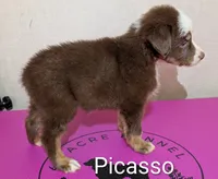 processed/5aa9dd28-0cae-4d28-91db-a923cf36de87/listing/8ab15d0e-a0fa-4771-bf95-c90fb998541d/53965de2-f4e7-4017-a48e-1f8ffc8a08f9