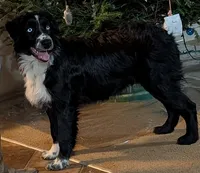 processed/5aa9dd28-0cae-4d28-91db-a923cf36de87/listing/a1715341-b0dd-4f16-ba0e-38561a5e2430/0fbd816c-ed4c-4521-9d58-d436100fa99a