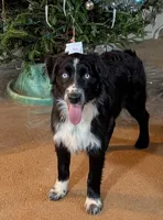 processed/5aa9dd28-0cae-4d28-91db-a923cf36de87/listing/a1715341-b0dd-4f16-ba0e-38561a5e2430/6aeb29a0-ebaf-4660-bda2-946e19bb6e50