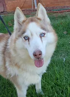 processed/5aaa8134-638f-4dac-94d7-edfc4108f65d/listing/1da0297f-cae4-4319-87c3-b98075f8d301/cb4aea15-63c5-4810-a02b-1c6c7e96145b