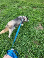 processed/5aaa8134-638f-4dac-94d7-edfc4108f65d/listing/3926b714-cd57-473c-9583-32f0fba5647b/472f74bf-e9bd-4744-b3b1-090ddbfd96d6