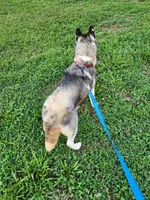 processed/5aaa8134-638f-4dac-94d7-edfc4108f65d/listing/3926b714-cd57-473c-9583-32f0fba5647b/8aef05dc-c2bd-4563-8d59-60ae8890271e